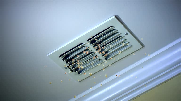 Best Home Air Vent Cleaning  in Conshohocken, PA